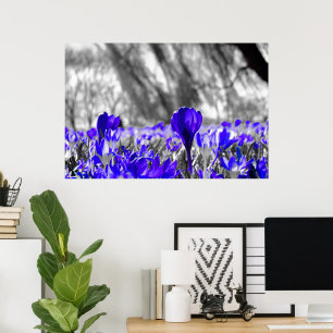 Blue Flower Field Poster