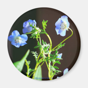 Blue Flower-Magnet Magnet