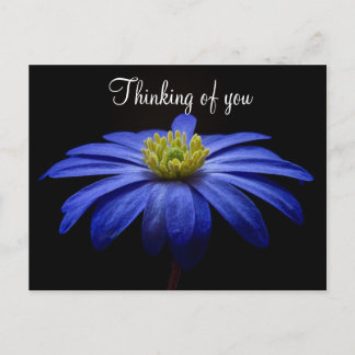 Blue Flower Postcard