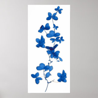 Blue Flower Print