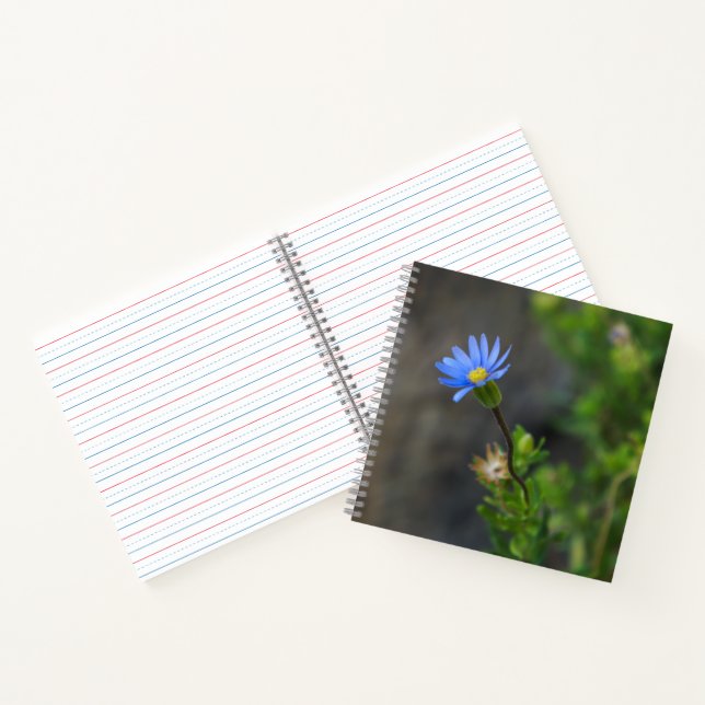 Blue Flower Spiral Notebook (Inside)
