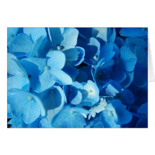 blue flowers