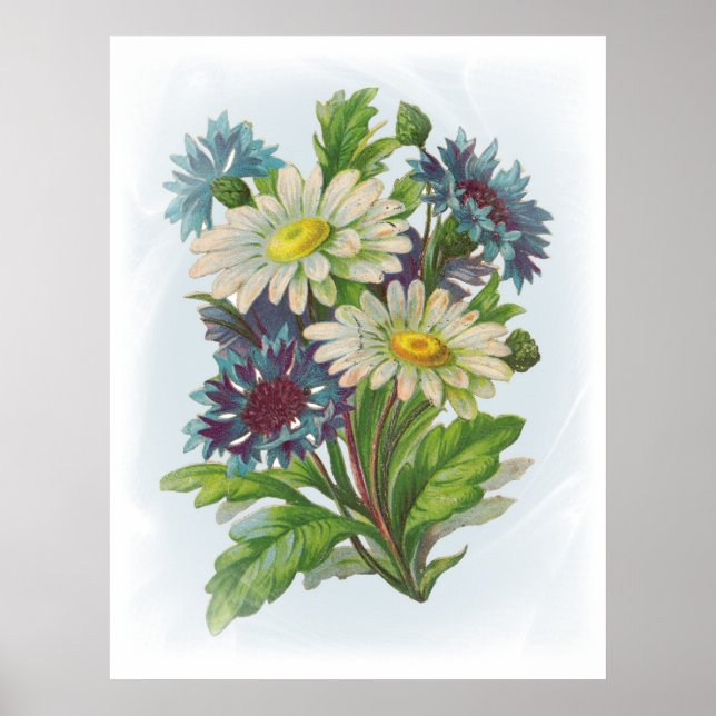 Blue Flowers and Daisies Poster (Front)