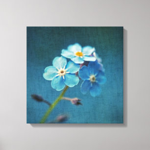 Blue Flowers Forget-me-nots Macro Photography Canvas Print