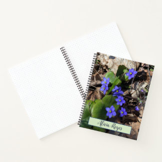 Blue flowers, hepatica notebook