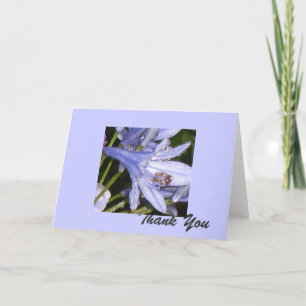 Blue Flowers in the morning 1, Thank You Card