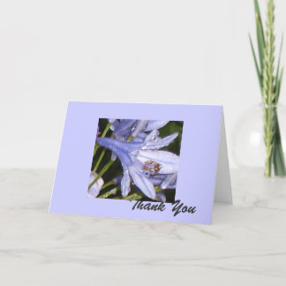 Blue Flowers in the morning 1, Thank You Card