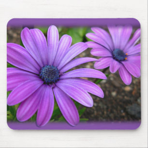 Blue Flowers Mousepad  Daisy Computer Gifts
