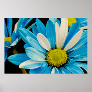 Blue Flowers Poster