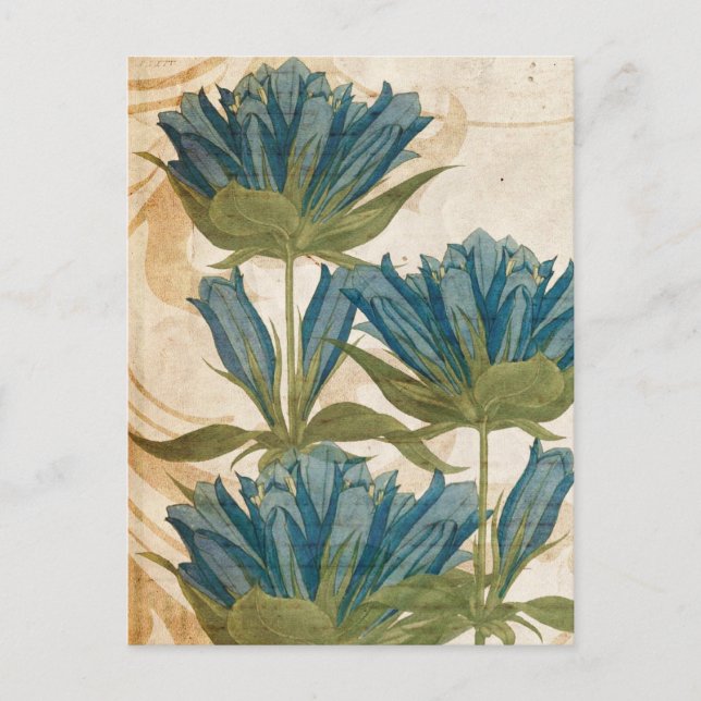 Blue Flowers Vintage Wedding Postcard (Front)