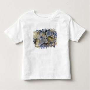 Blue Fluorite Crystals in Matrix Toddler T-Shirt