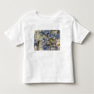 Blue Fluorite Crystals in Matrix Toddler T-Shirt
