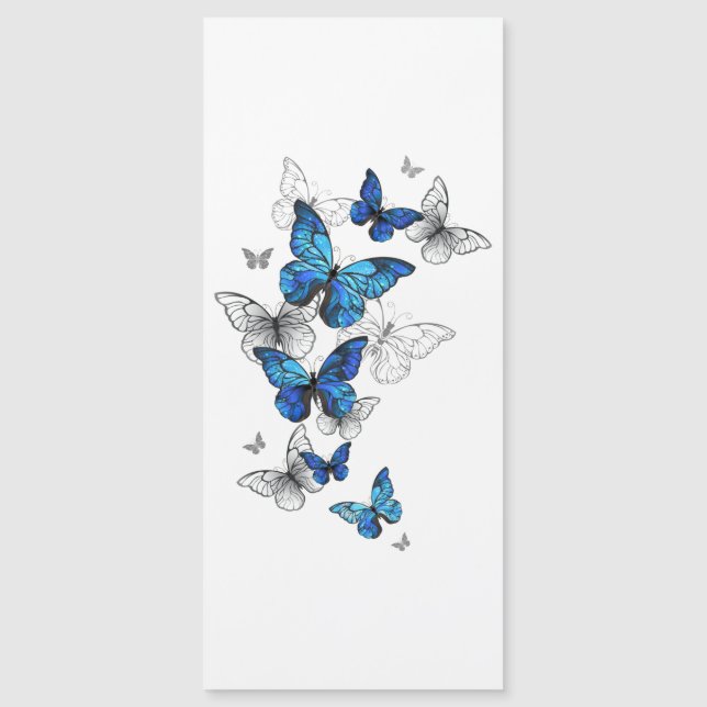 Blue Flying Butterflies Morpho (Front)