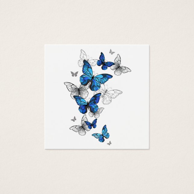 Blue Flying Butterflies Morpho (Front)