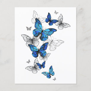 Blue Flying Butterflies Morpho