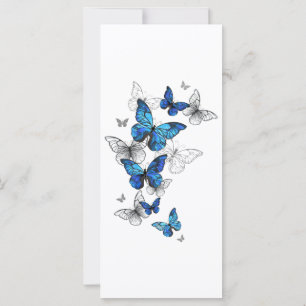 Blue Flying Butterflies Morpho