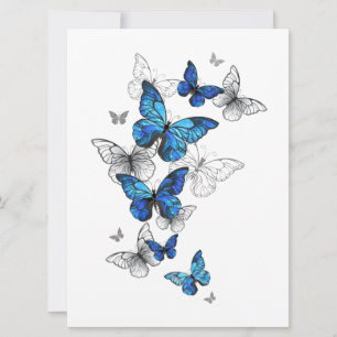 Blue Flying Butterflies Morpho Announcement