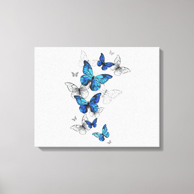 Blue Flying Butterflies Morpho Canvas Print (Front)