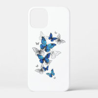 Blue Flying Butterflies Morpho