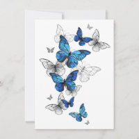 Blue Flying Butterflies Morpho