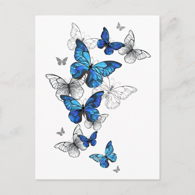 Blue Flying Butterflies Morpho Holiday Postcard (Front)