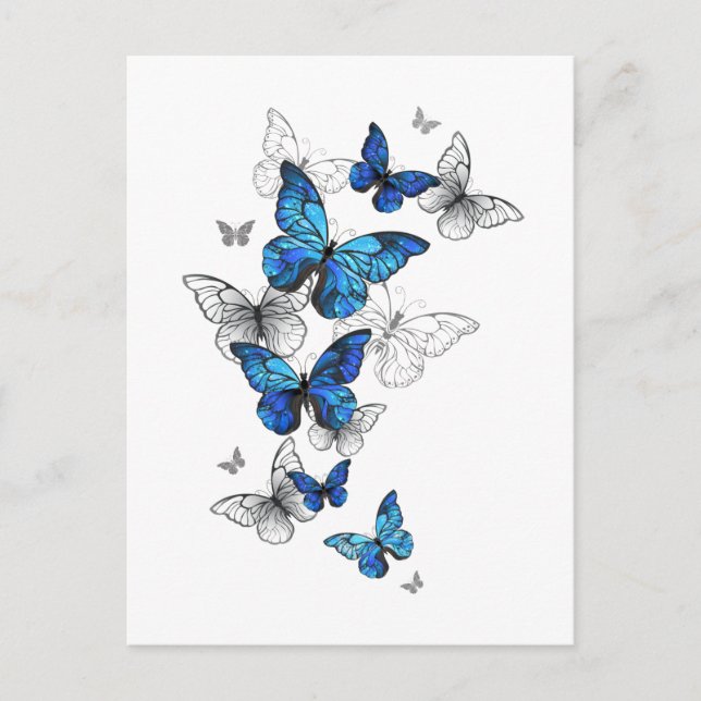 Blue Flying Butterflies Morpho Invitation Postcard (Front)