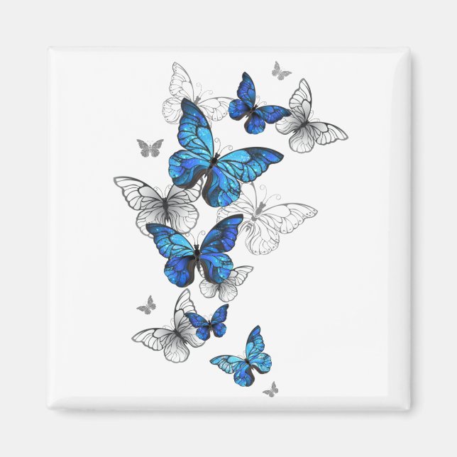 Blue Flying Butterflies Morpho Magnet (Front)
