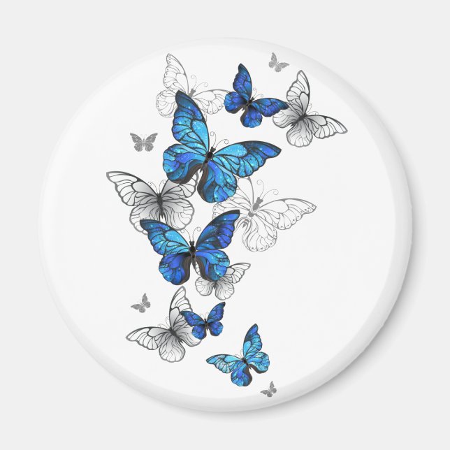 Blue Flying Butterflies Morpho Magnet (Front)