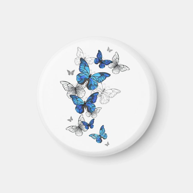 Blue Flying Butterflies Morpho Magnet (Front)
