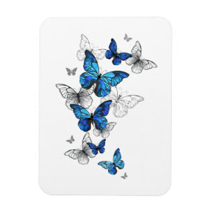 Blue Flying Butterflies Morpho Magnet
