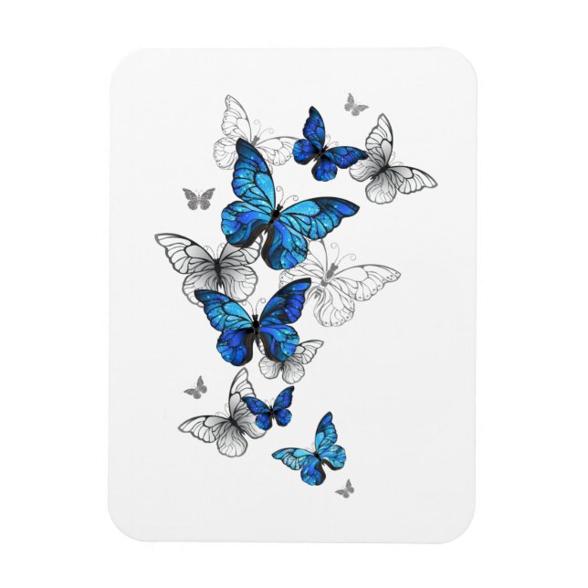 Blue Flying Butterflies Morpho Magnet (Vertical)