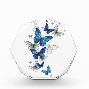 Blue Flying Butterflies Morpho Photo Block