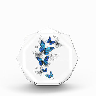 Blue Flying Butterflies Morpho Photo Block