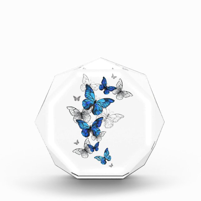 Blue Flying Butterflies Morpho Photo Block (Front)