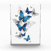 Blue Flying Butterflies Morpho