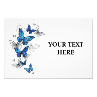 Blue Flying Butterflies Morpho Photo Print