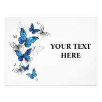 Blue Flying Butterflies Morpho
