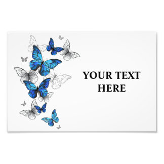 Blue Flying Butterflies Morpho Photo Print