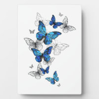 Blue Flying Butterflies Morpho