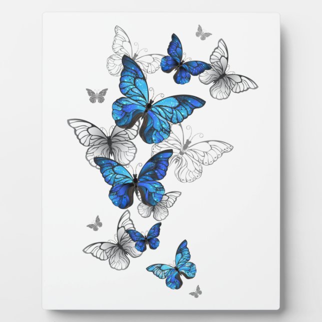 Blue Flying Butterflies Morpho Plaque (Front)