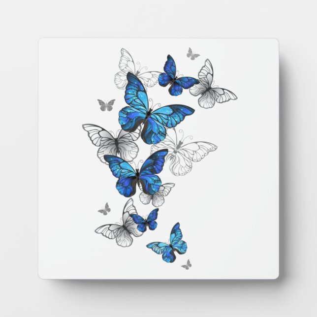 Blue Flying Butterflies Morpho Plaque (Front)