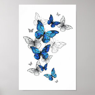 Blue Flying Butterflies Morpho Poster