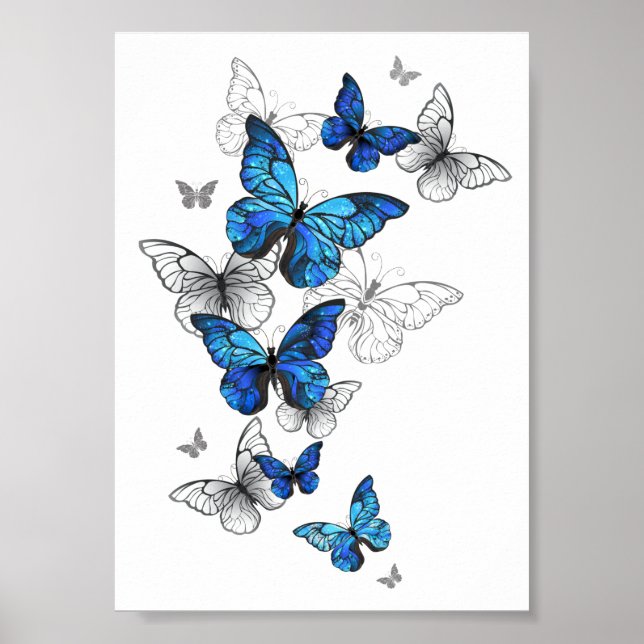 Blue Flying Butterflies Morpho Poster (Front)