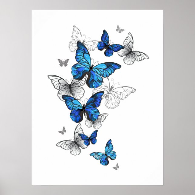 Blue Flying Butterflies Morpho Poster (Front)