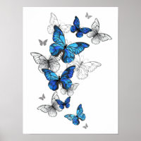 Blue Flying Butterflies Morpho