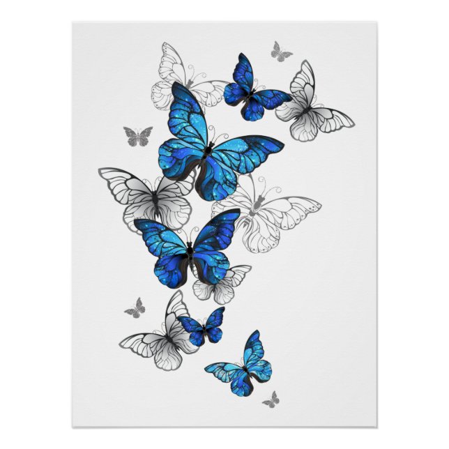 Blue Flying Butterflies Morpho Poster (Front)