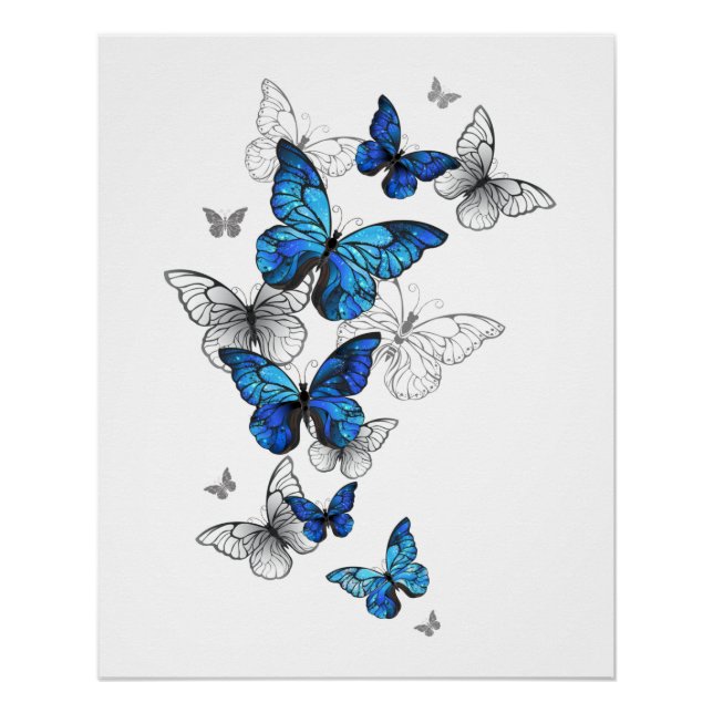 Blue Flying Butterflies Morpho Poster (Front)
