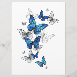 Blue Flying Butterflies Morpho Programme