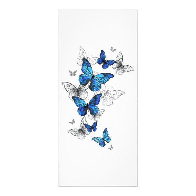 Blue Flying Butterflies Morpho Rack Card (Front)