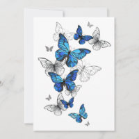 Blue Flying Butterflies Morpho